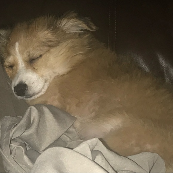 Meet your Posher, Fashioncense - Picture 9 of 12